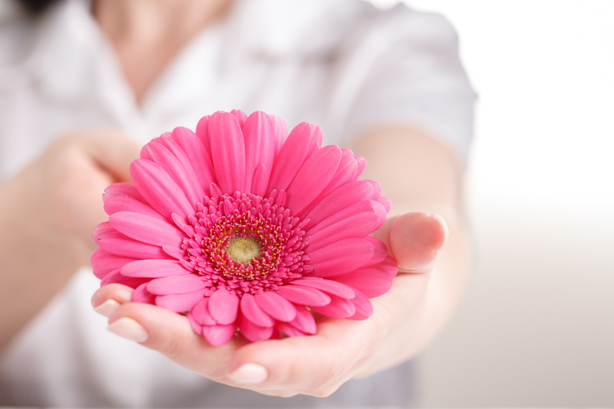 Labiaplasty vs. Laser Labial Rejuvenation: Which Is Right for You?