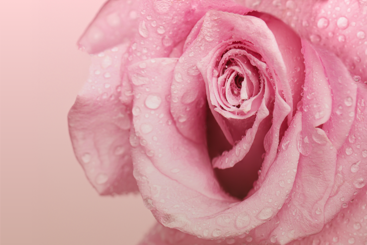 Vaginismus: When Sex or an Internal Exam Feels Impossible