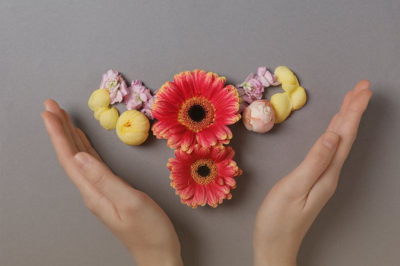 Aesthetic Gynecology Treatment